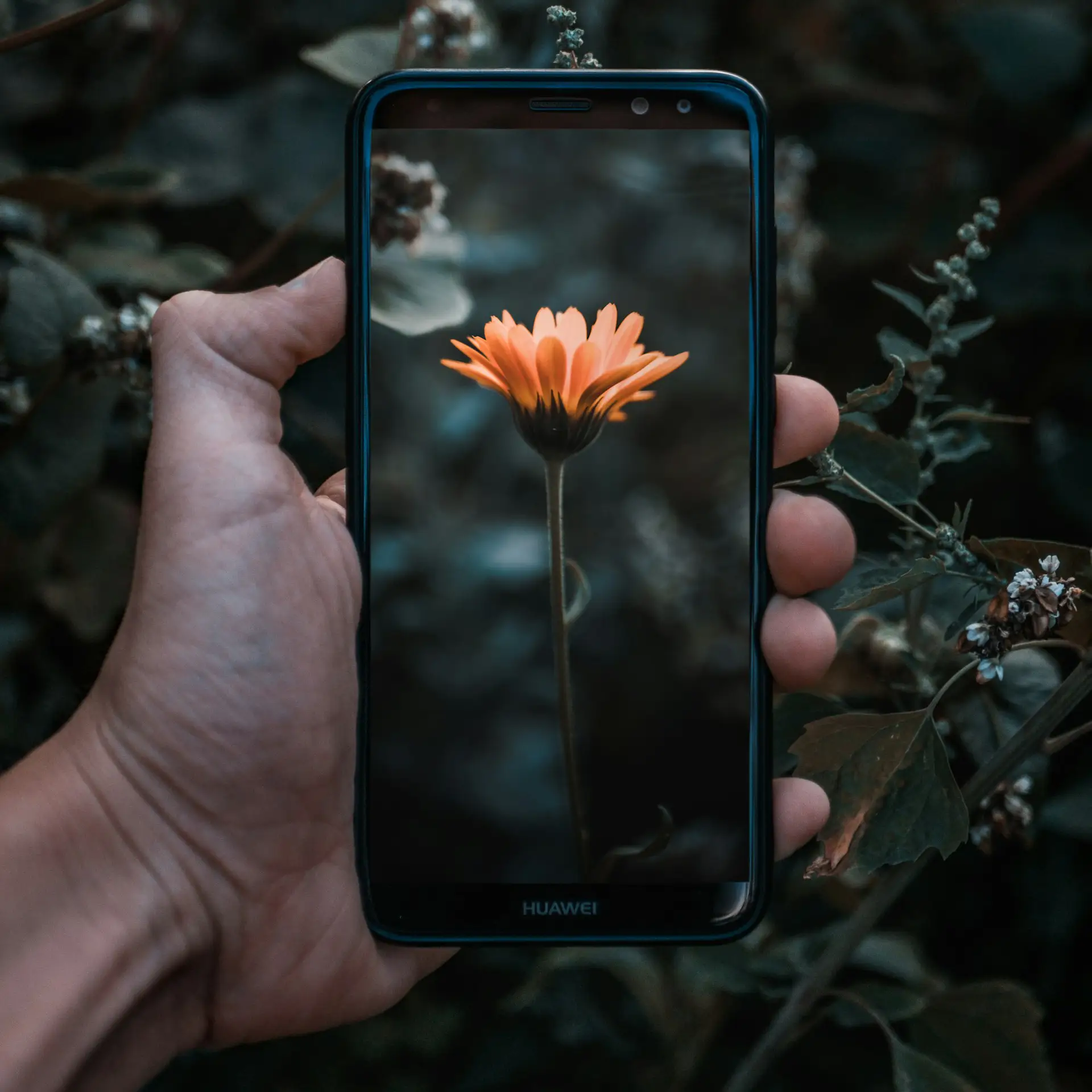 Online foto’s printen: Eenvoudig vanaf je telefoon
