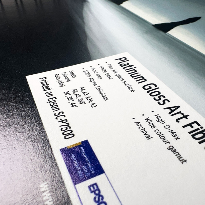 Giclée Print Op Fotospeed Platinum Gloss Art Fibre 300