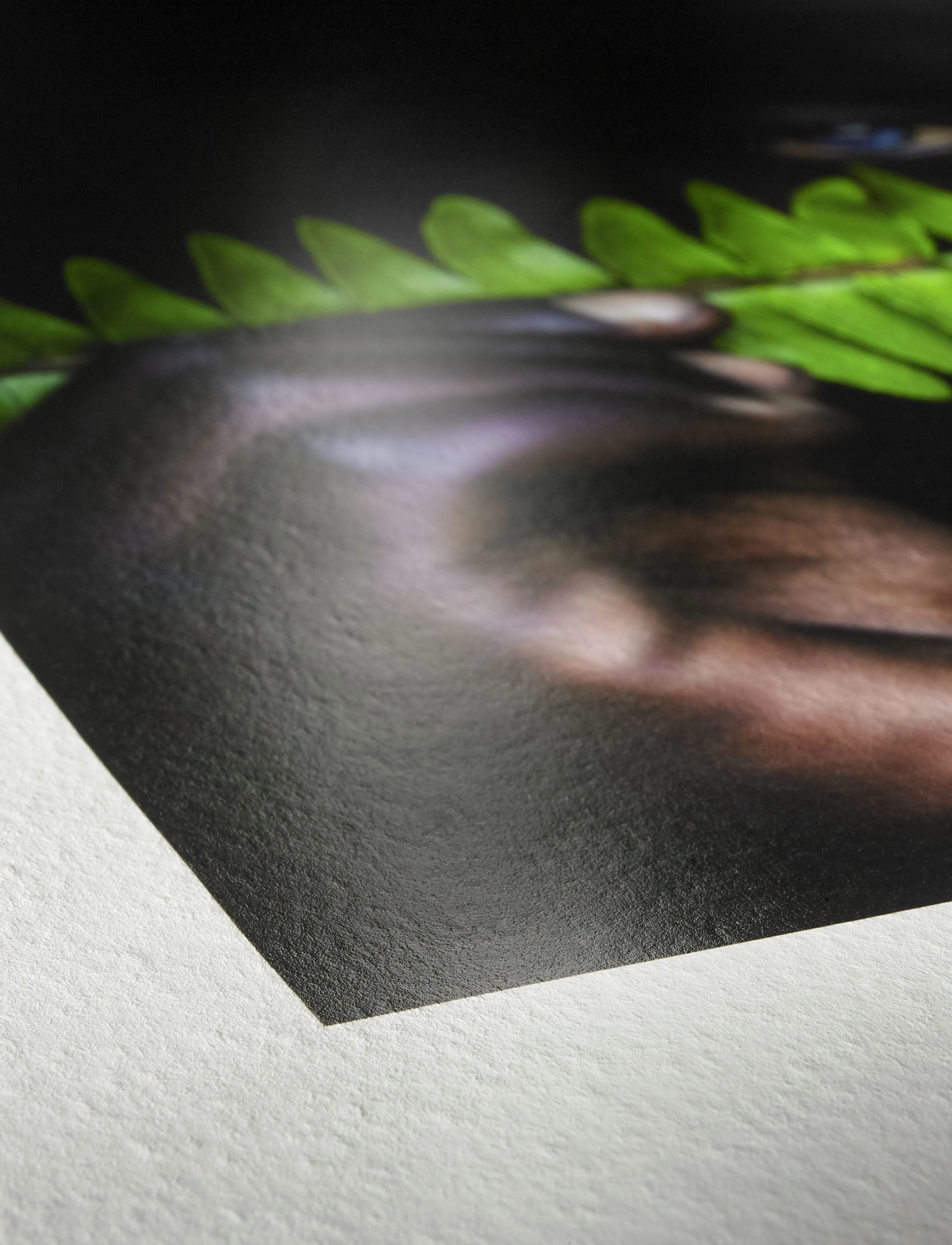Fine Art print op Hahnemule | printbeat.nl