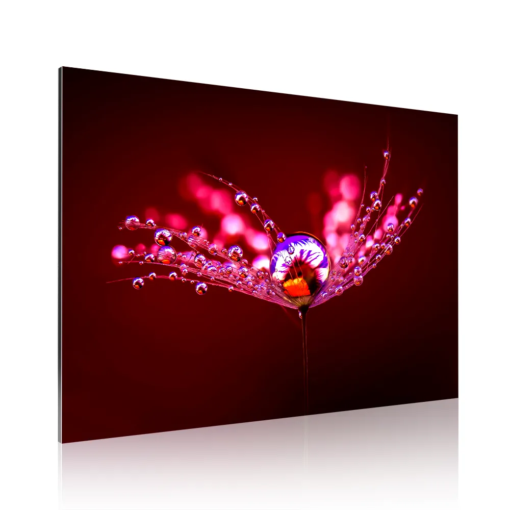 Fotospeed Platinum Gloss Art Fibre 300